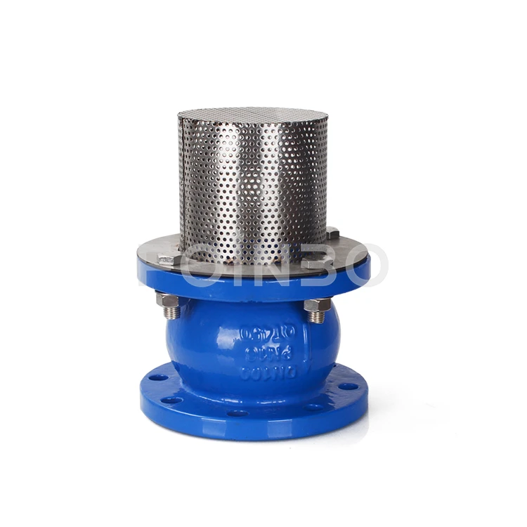 1 Inch Foot Valve